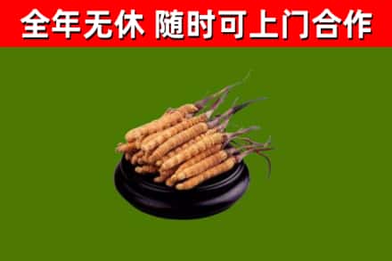 延安市烟酒回收冬虫夏草.jpg