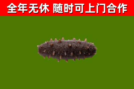 延安市烟酒回收干海参.jpg